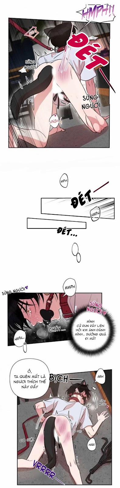 Khẩu Vị Và Sự Tôn Thờ Của Người Yêu Tôi 29 trang 8