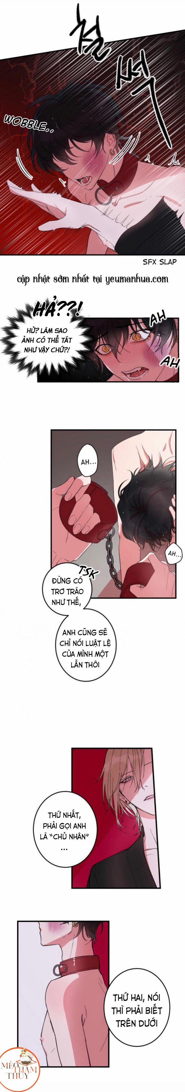 Khẩu Vị Và Sự Tôn Thờ Của Người Yêu Tôi 4 trang 1