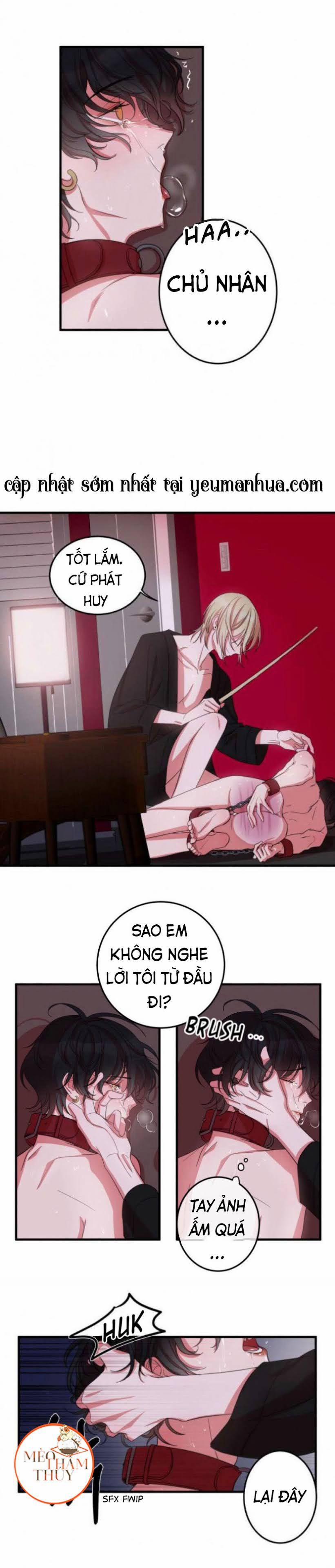 Khẩu Vị Và Sự Tôn Thờ Của Người Yêu Tôi 4 trang 7