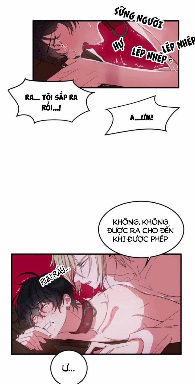 Khẩu Vị Và Sự Tôn Thờ Của Người Yêu Tôi 5 trang 10