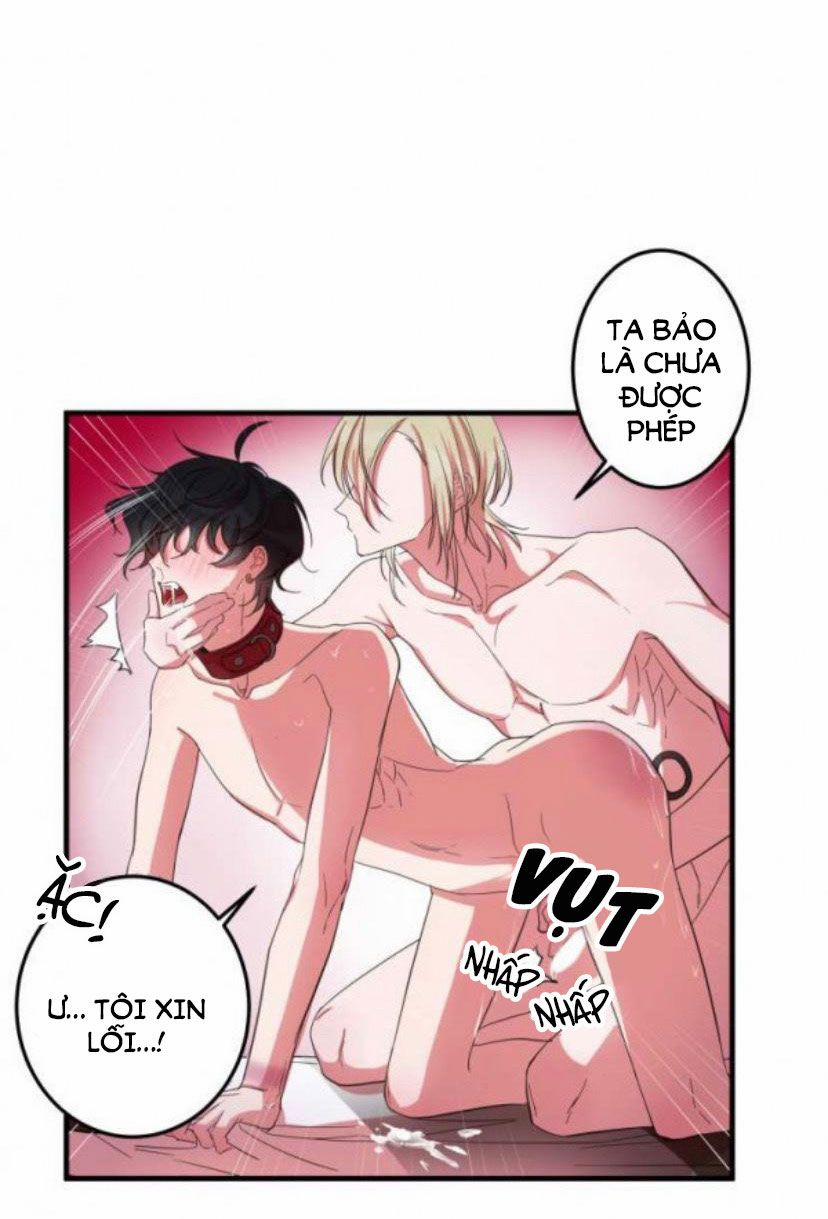 Khẩu Vị Và Sự Tôn Thờ Của Người Yêu Tôi 5 trang 13