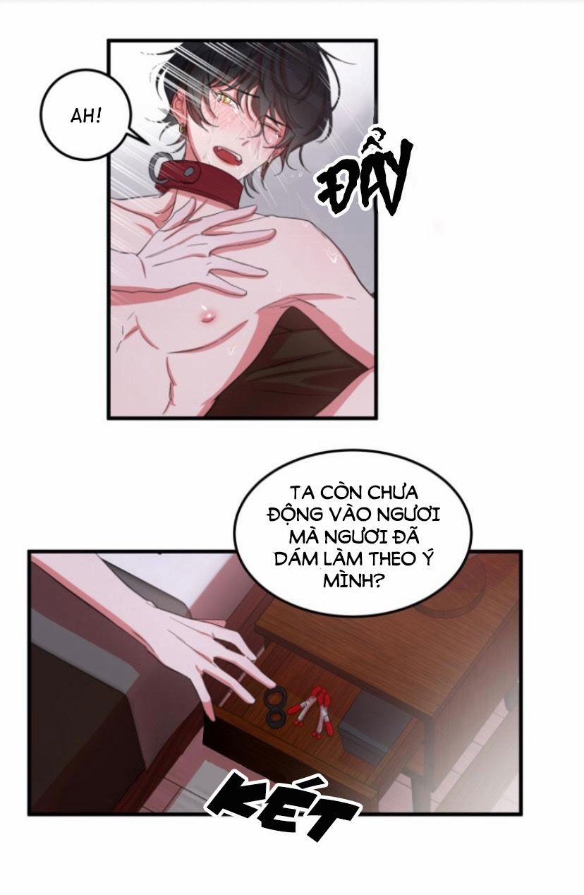 Khẩu Vị Và Sự Tôn Thờ Của Người Yêu Tôi 5 trang 14
