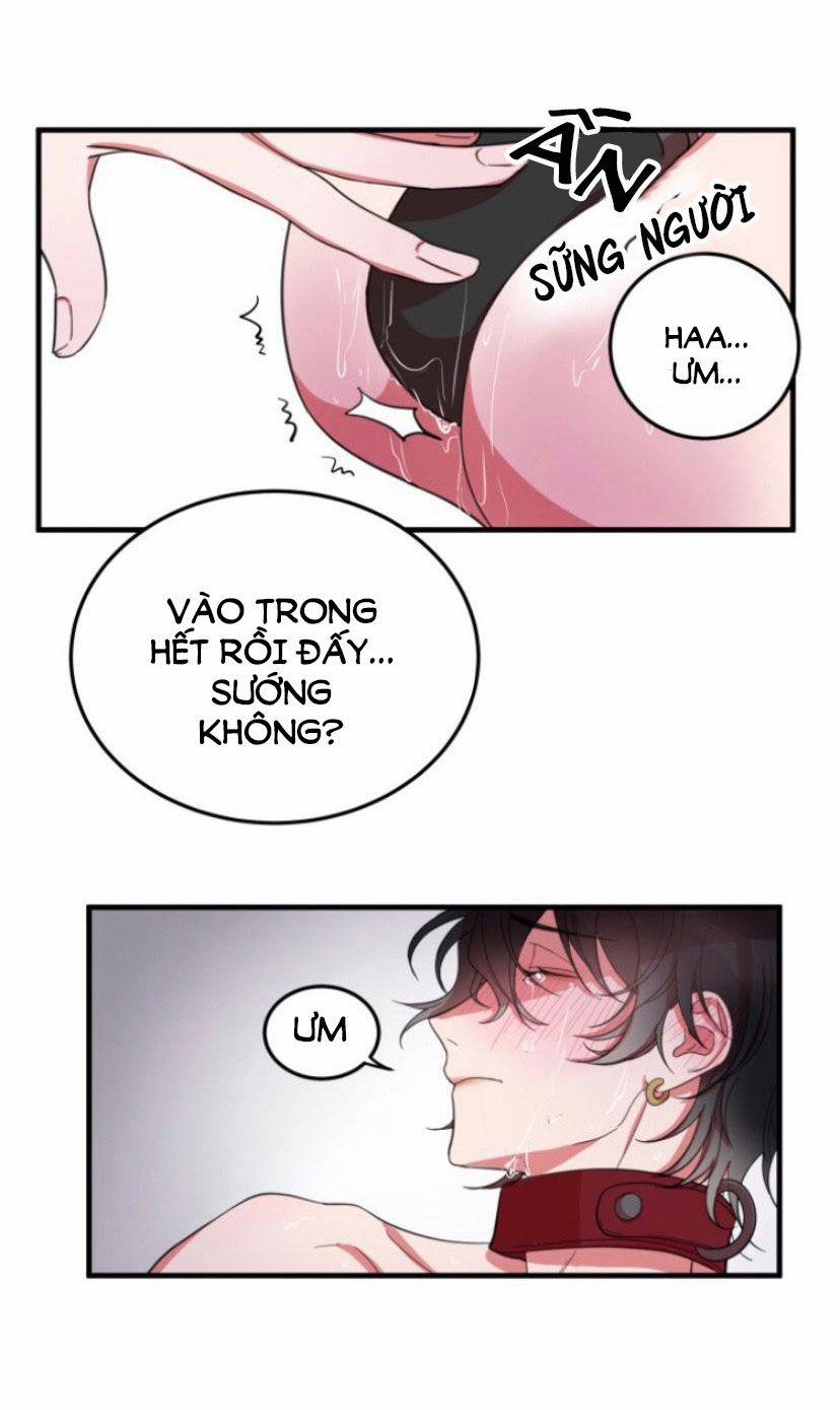 Khẩu Vị Và Sự Tôn Thờ Của Người Yêu Tôi 5 trang 21