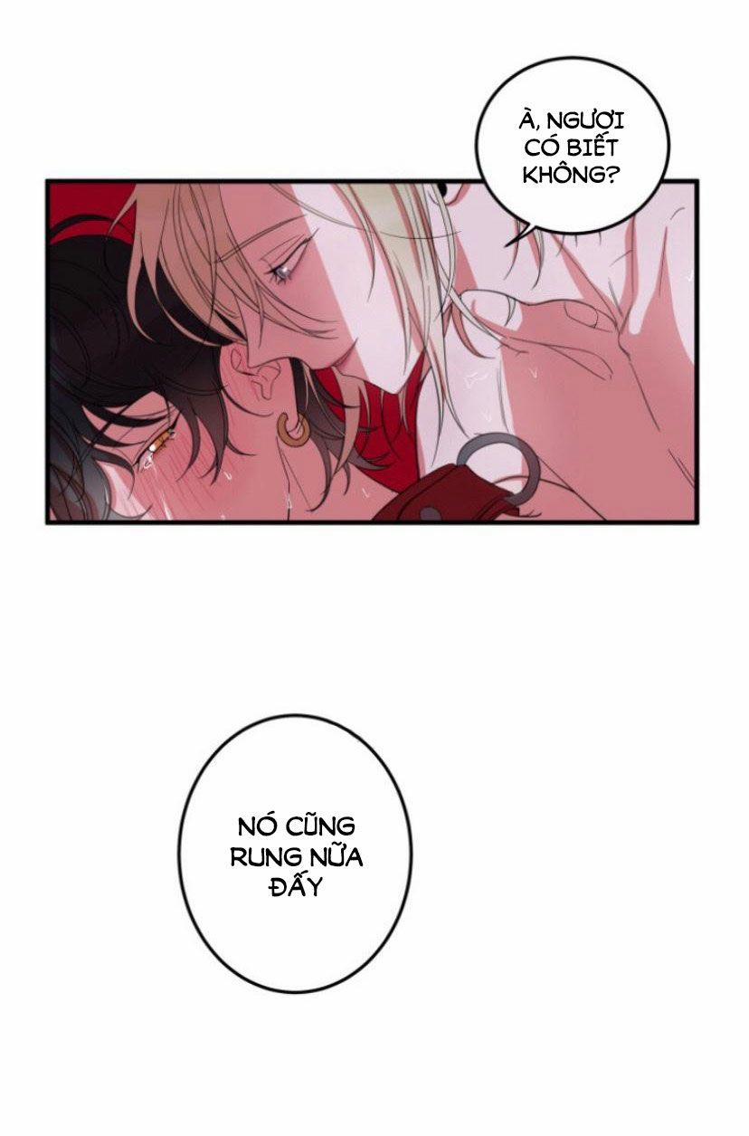 Khẩu Vị Và Sự Tôn Thờ Của Người Yêu Tôi 5 trang 23