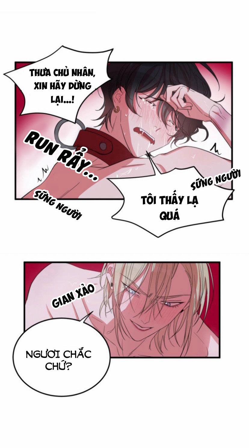 Khẩu Vị Và Sự Tôn Thờ Của Người Yêu Tôi 5 trang 27