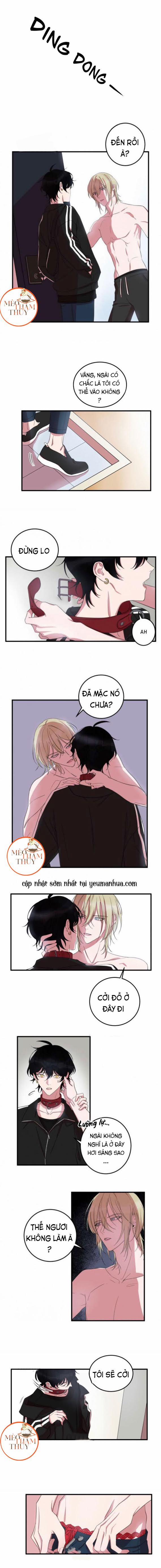 Khẩu Vị Và Sự Tôn Thờ Của Người Yêu Tôi 7 trang 0