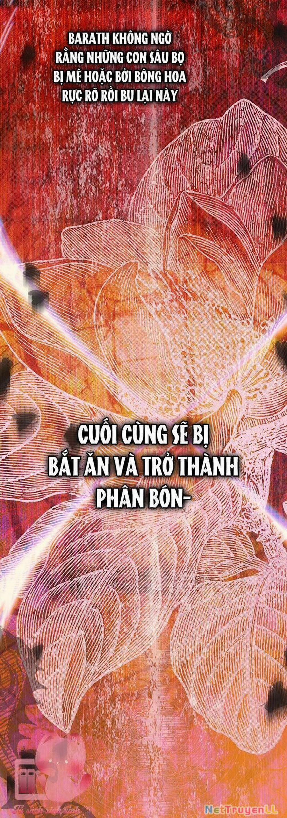 Khế Ước Hôn Nhân Của Mẹ Tôi 65 trang 61