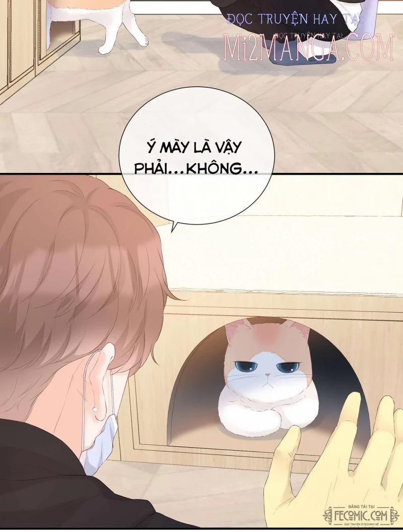 Khế Ước Tình Yêu: Tuyệt Đối Không Thể Phim Giả Tình Thật 25 trang 16