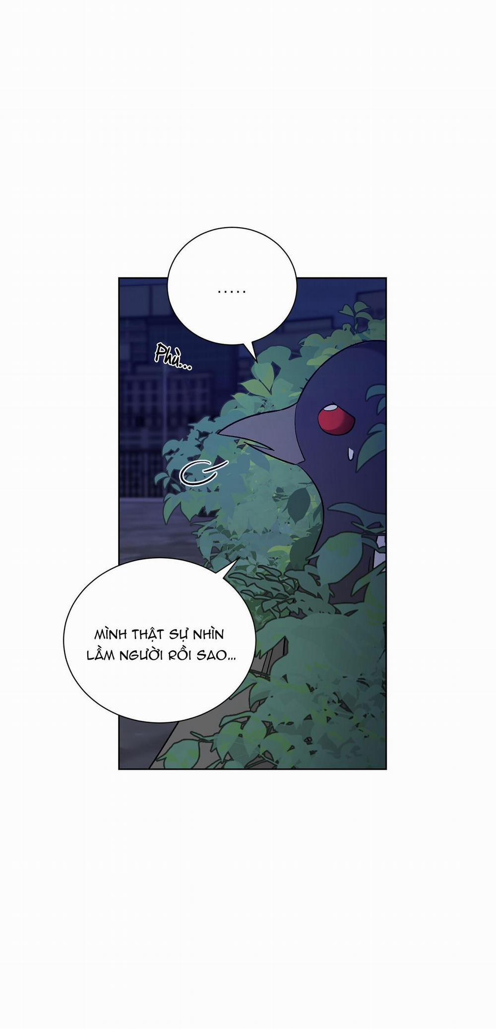 Khi Chim Thước Đến 11 trang 32