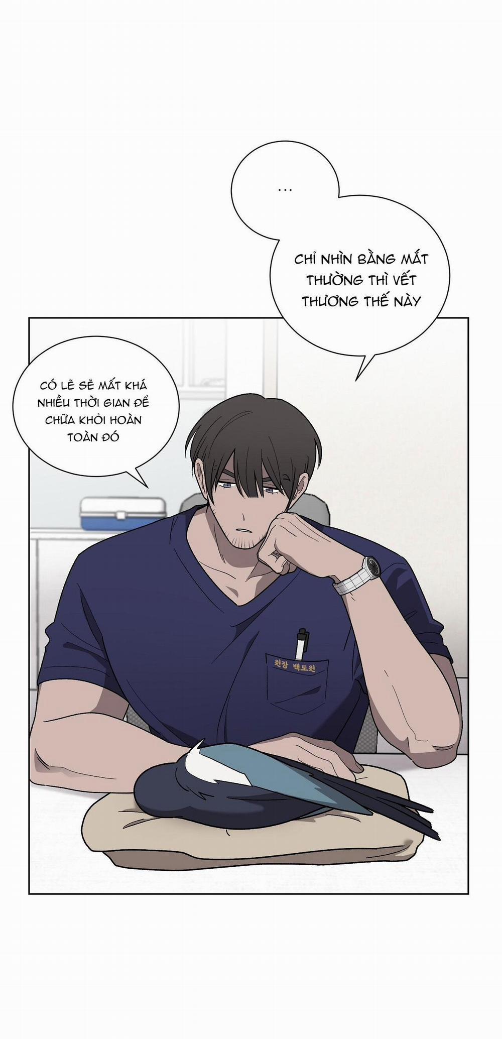 Khi Chim Thước Đến 13 trang 13