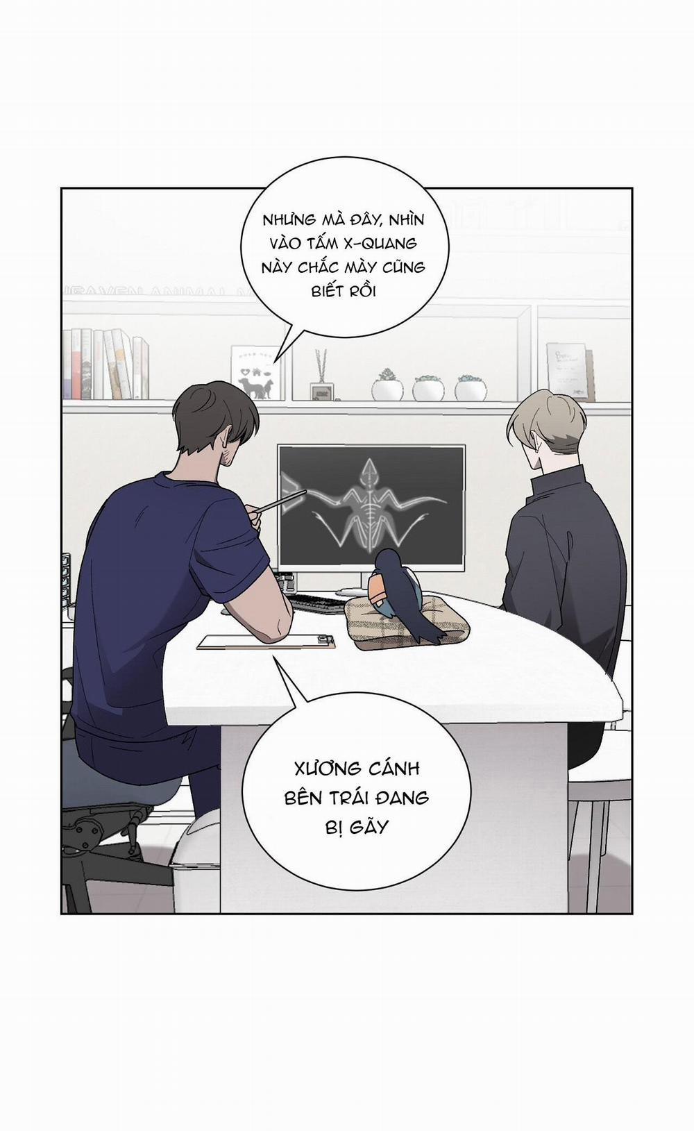 Khi Chim Thước Đến 13 trang 25