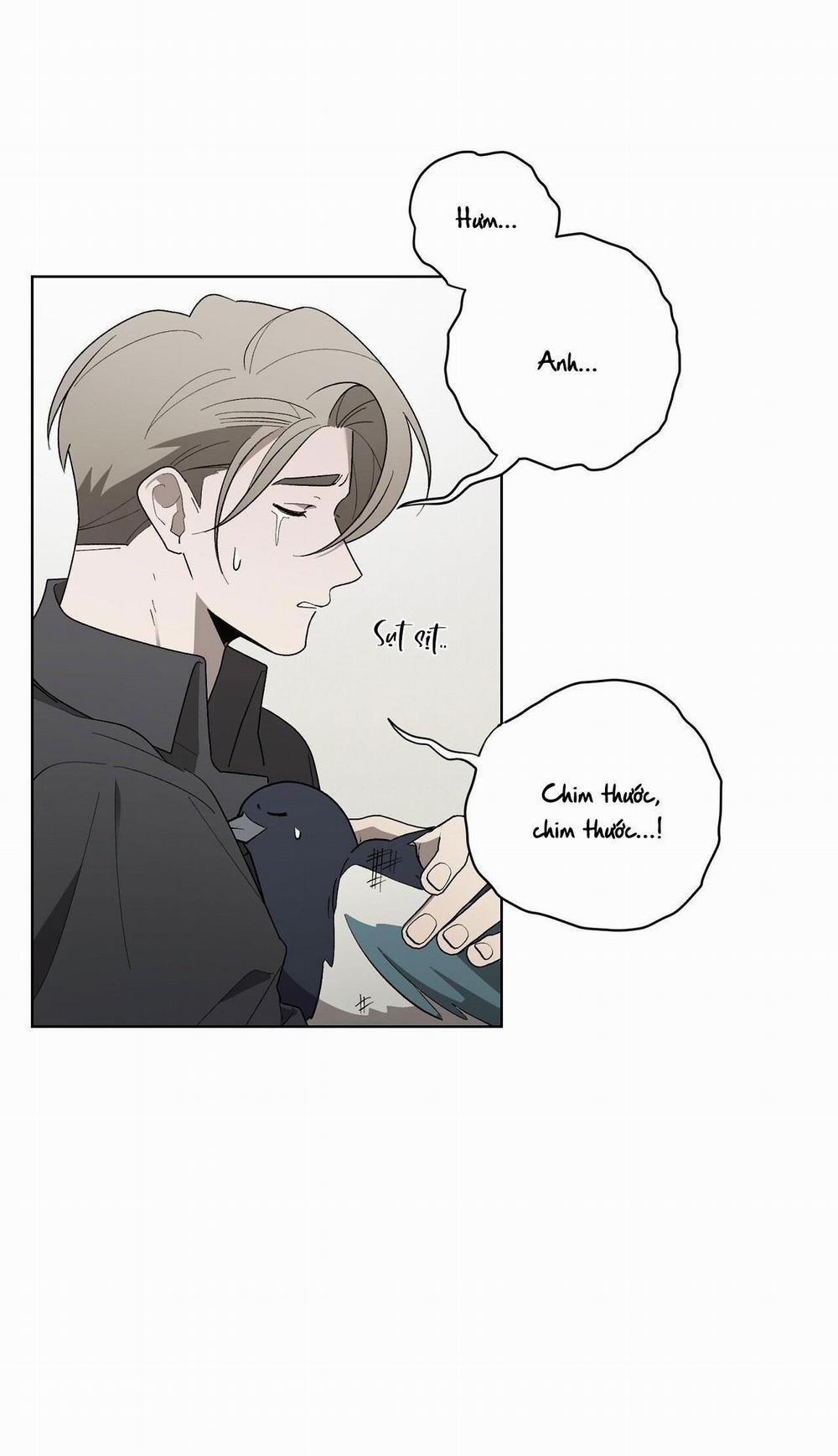 Khi Chim Thước Đến 13 trang 5