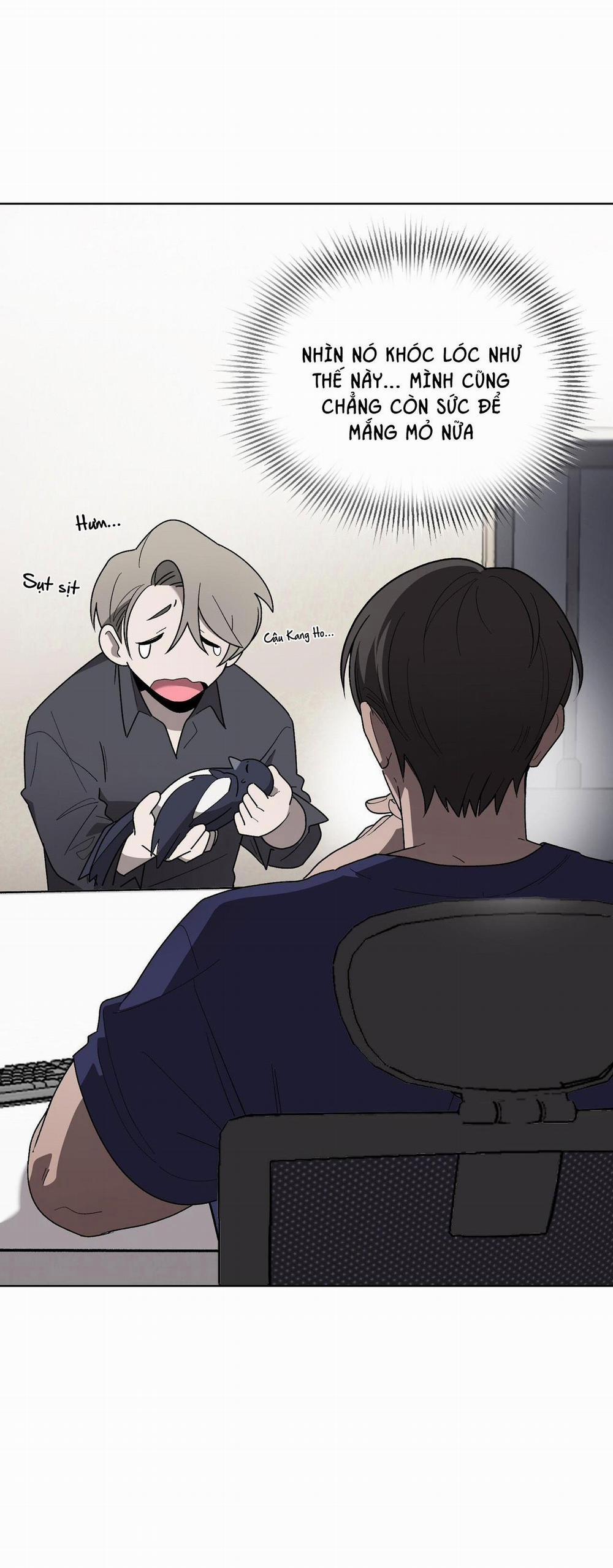 Khi Chim Thước Đến 13 trang 6