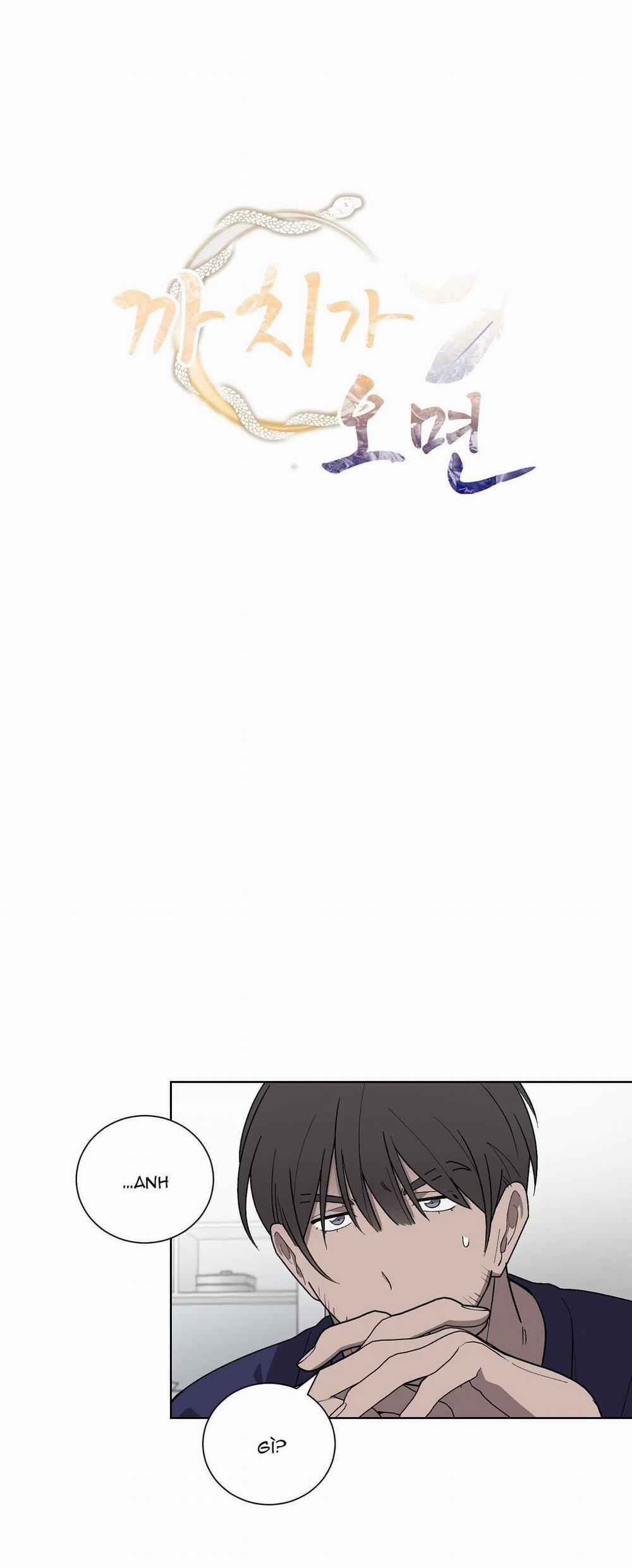 Khi Chim Thước Đến 13 trang 7