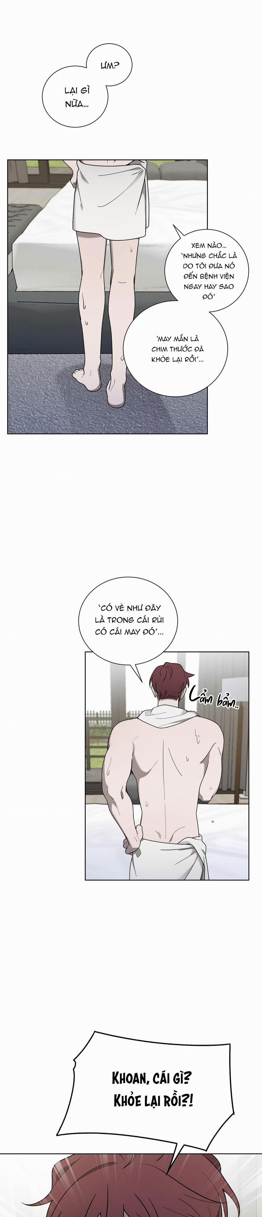 Khi Chim Thước Đến 14 trang 4