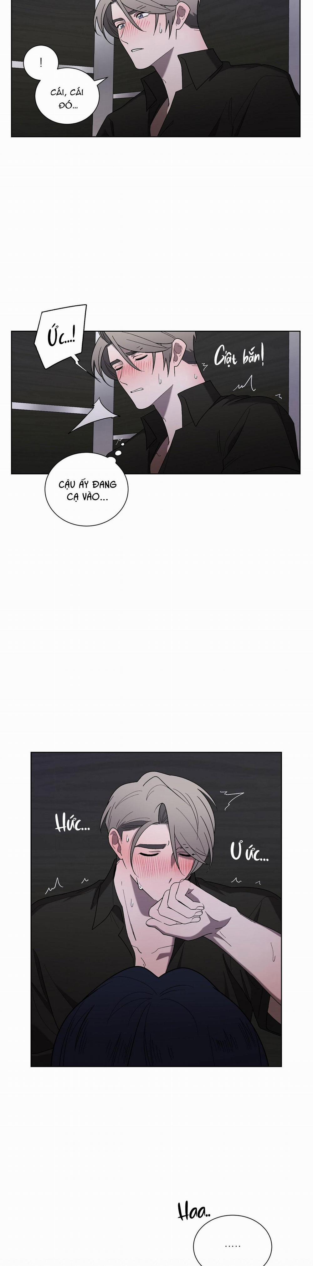 Khi Chim Thước Đến 16 trang 19