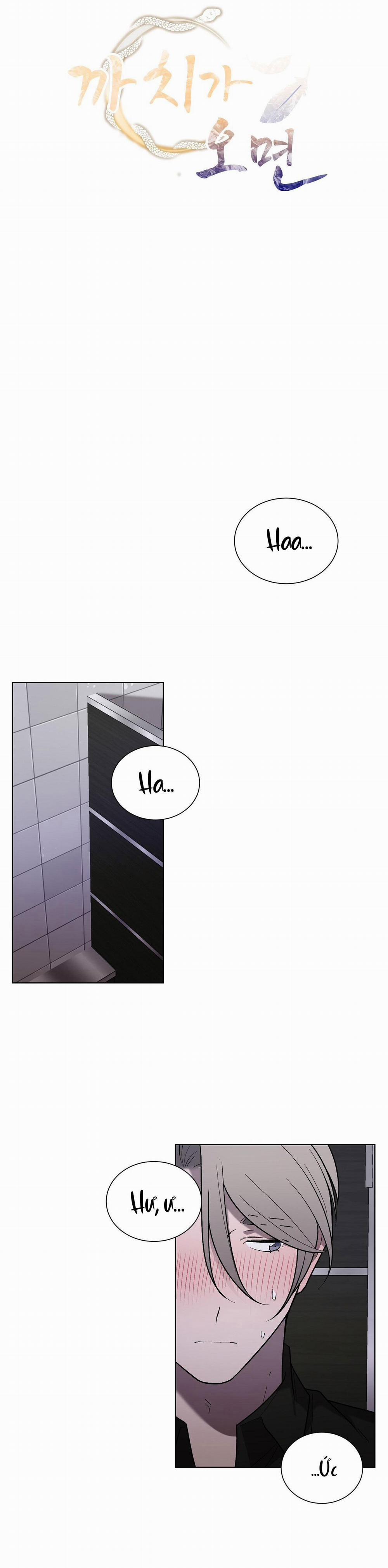 Khi Chim Thước Đến 16 trang 7