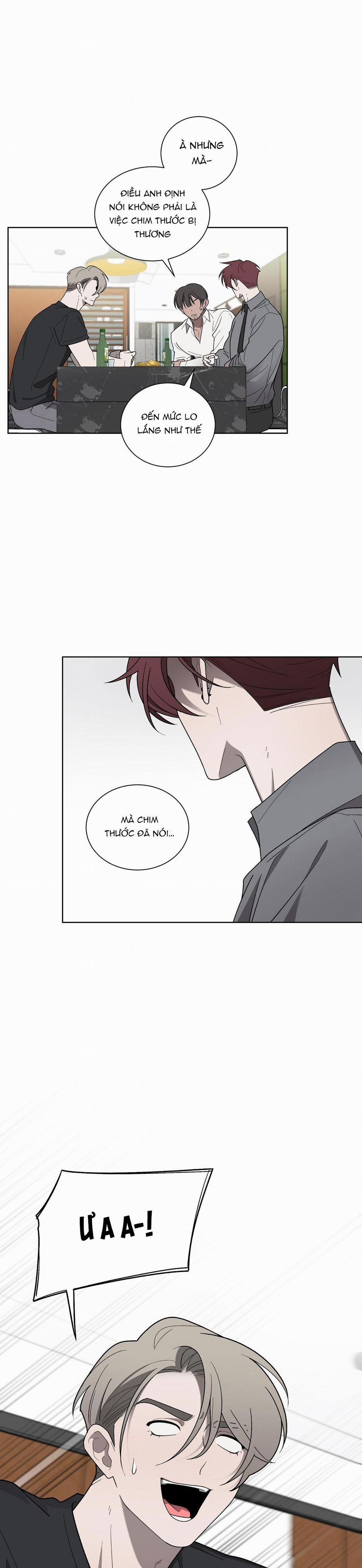 Khi Chim Thước Đến 18 trang 11