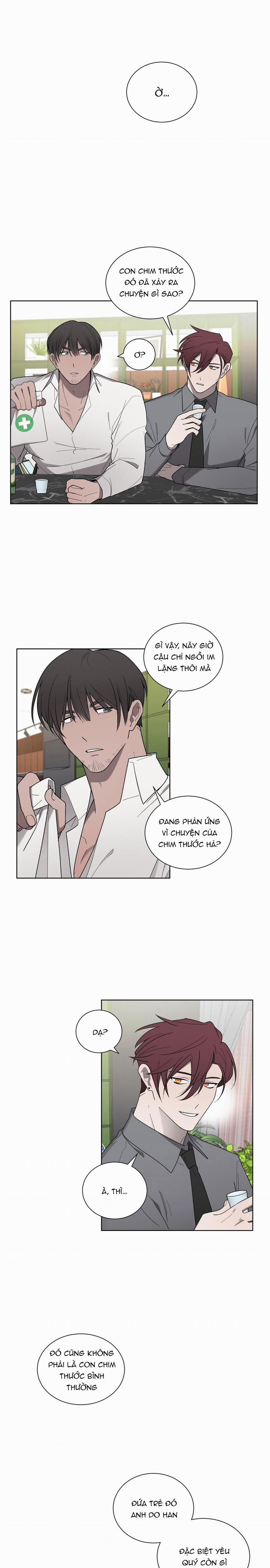 Khi Chim Thước Đến 18 trang 9
