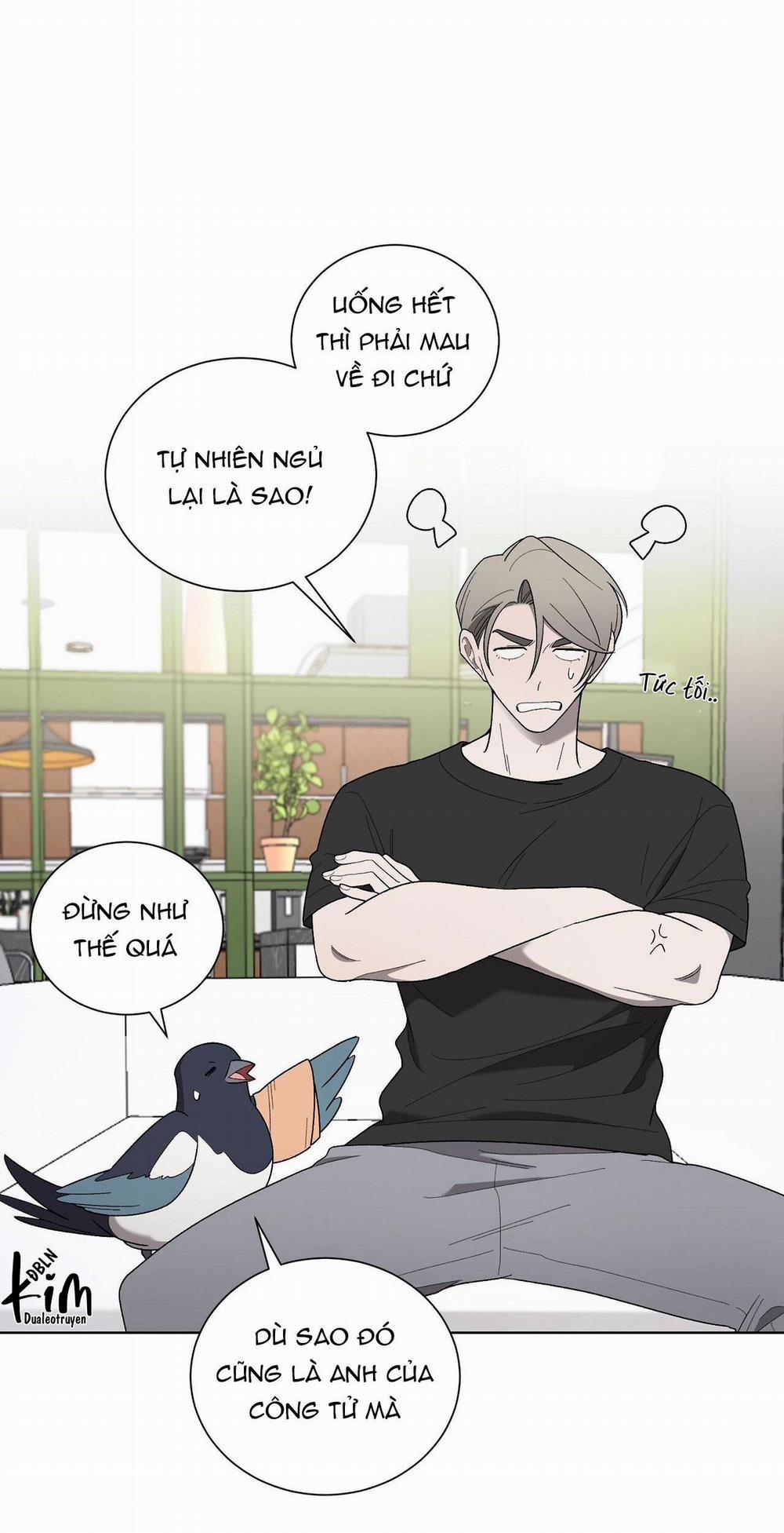 Khi Chim Thước Đến 19 trang 2