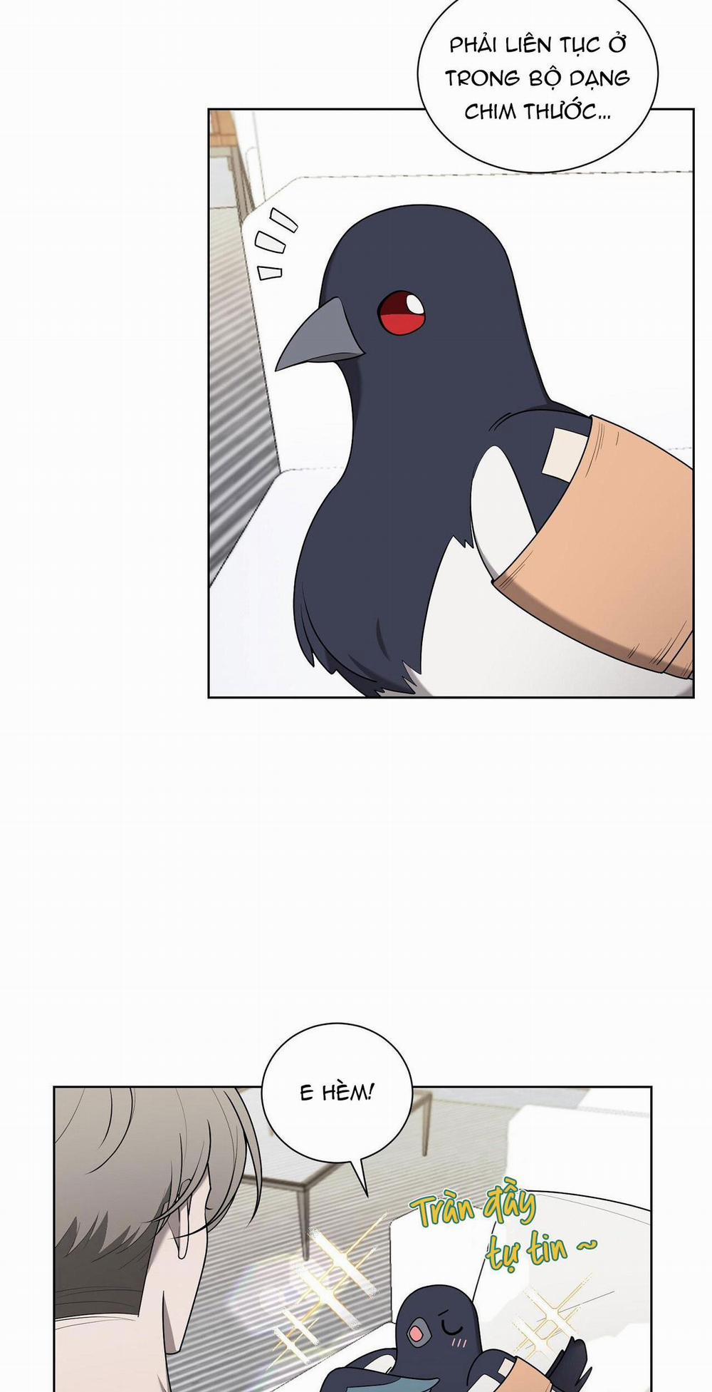 Khi Chim Thước Đến 19 trang 4