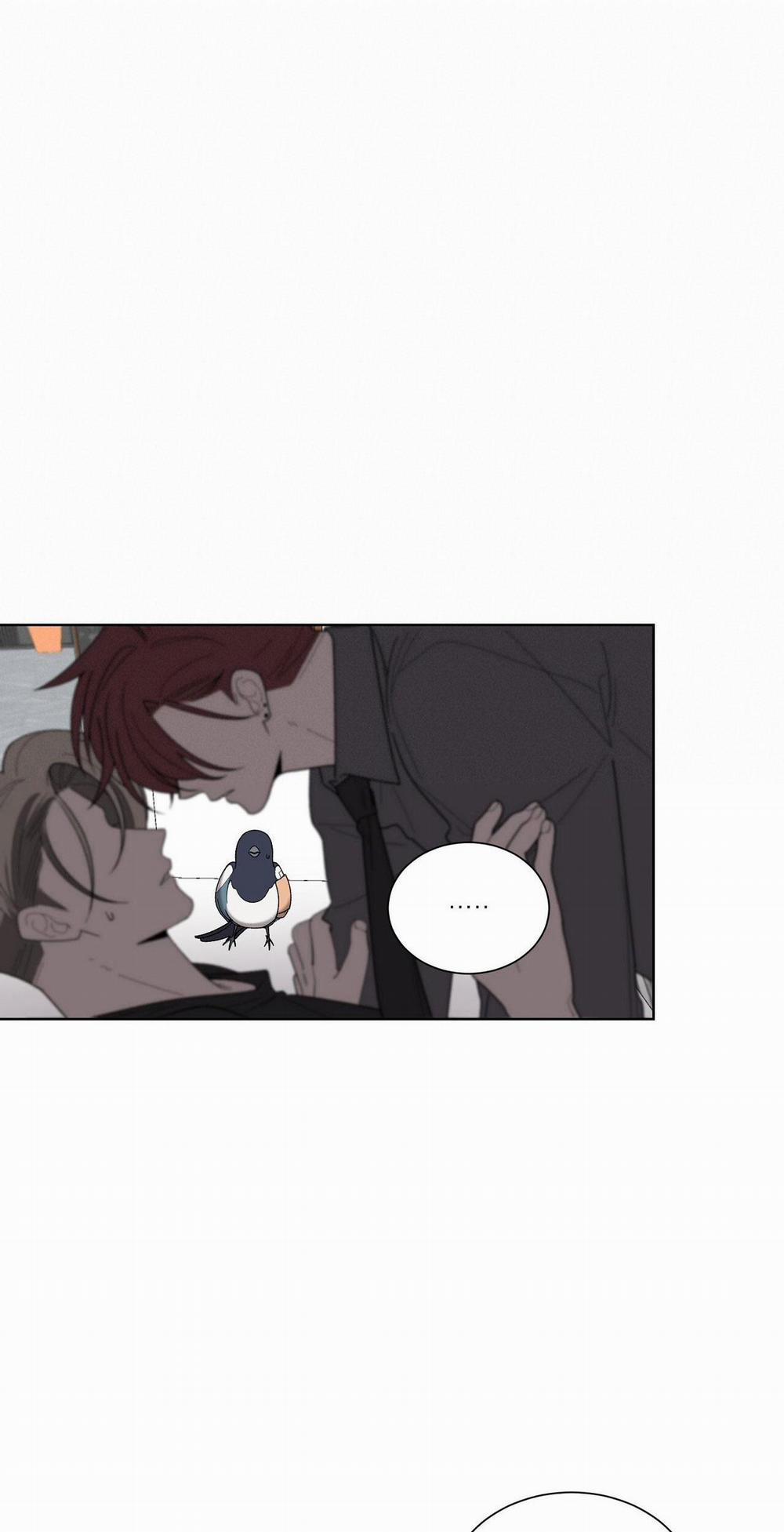 Khi Chim Thước Đến 19 trang 48