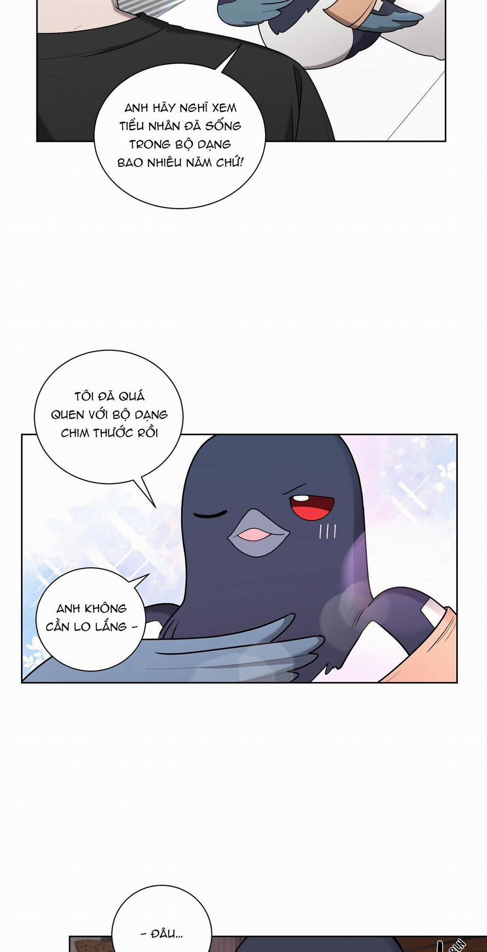 Khi Chim Thước Đến 19 trang 5