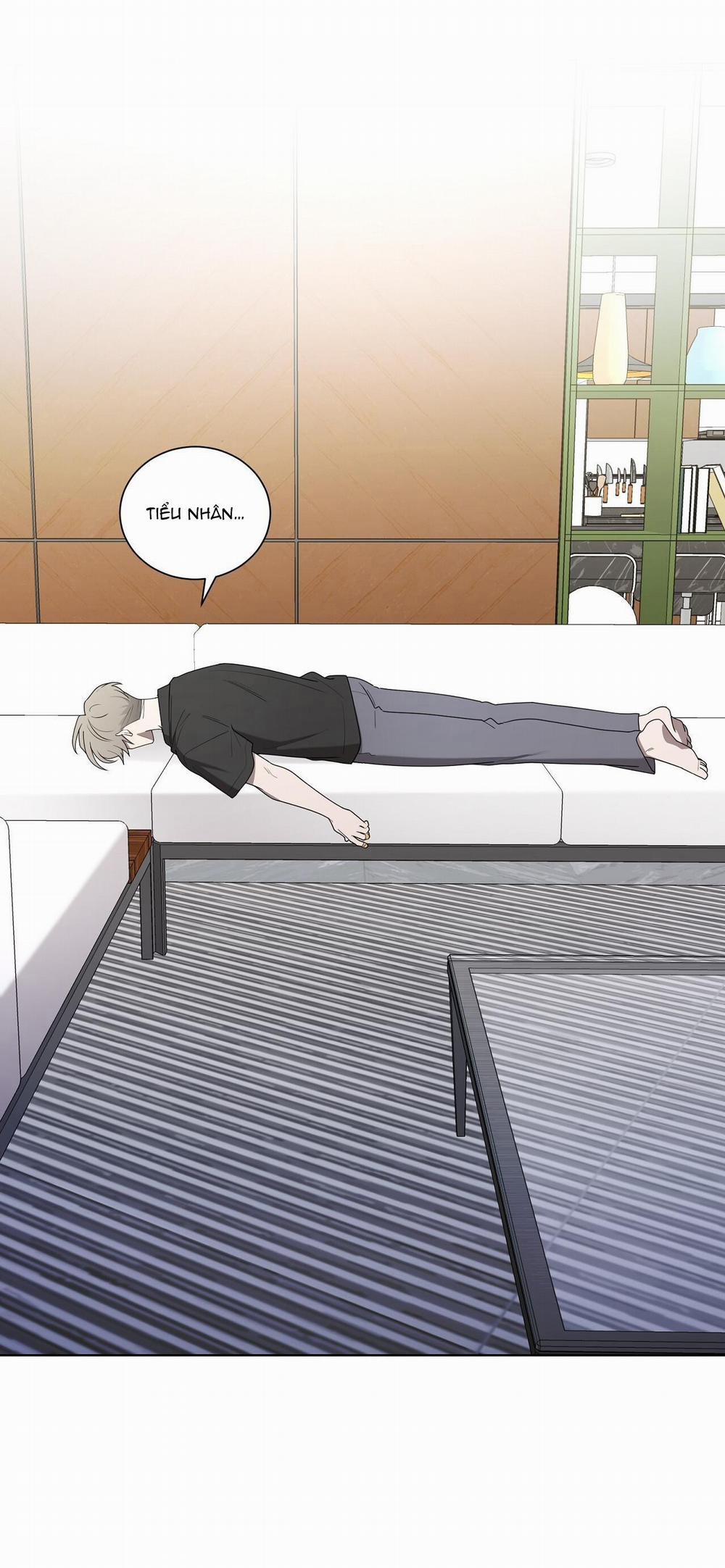 Khi Chim Thước Đến 24 trang 4