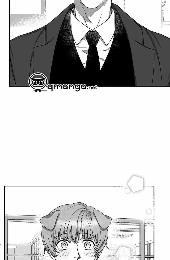 Khi Cún Biết Yêu 25 trang 2