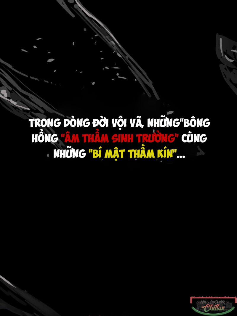 Khi Đóa Hoa Sẫm Màu Nở Rộ 0.4 trang 10