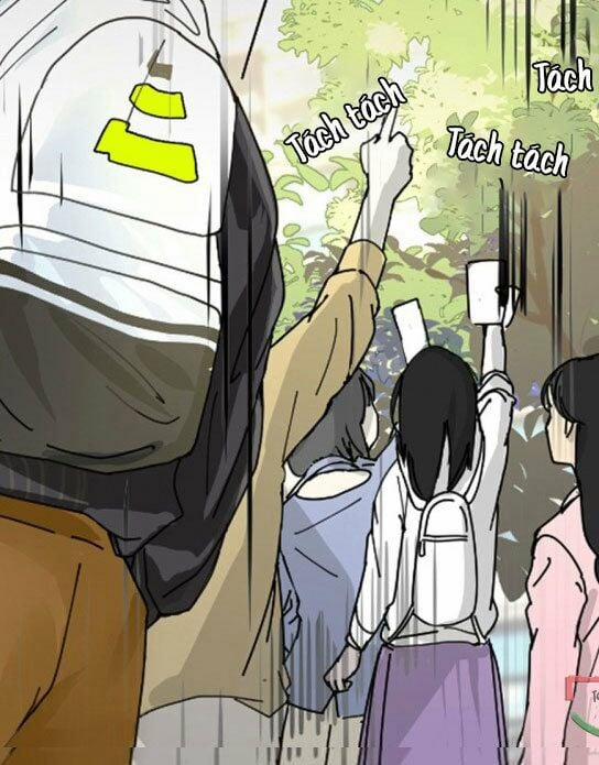 Khi Đóa Hoa Sẫm Màu Nở Rộ 0.4 trang 3