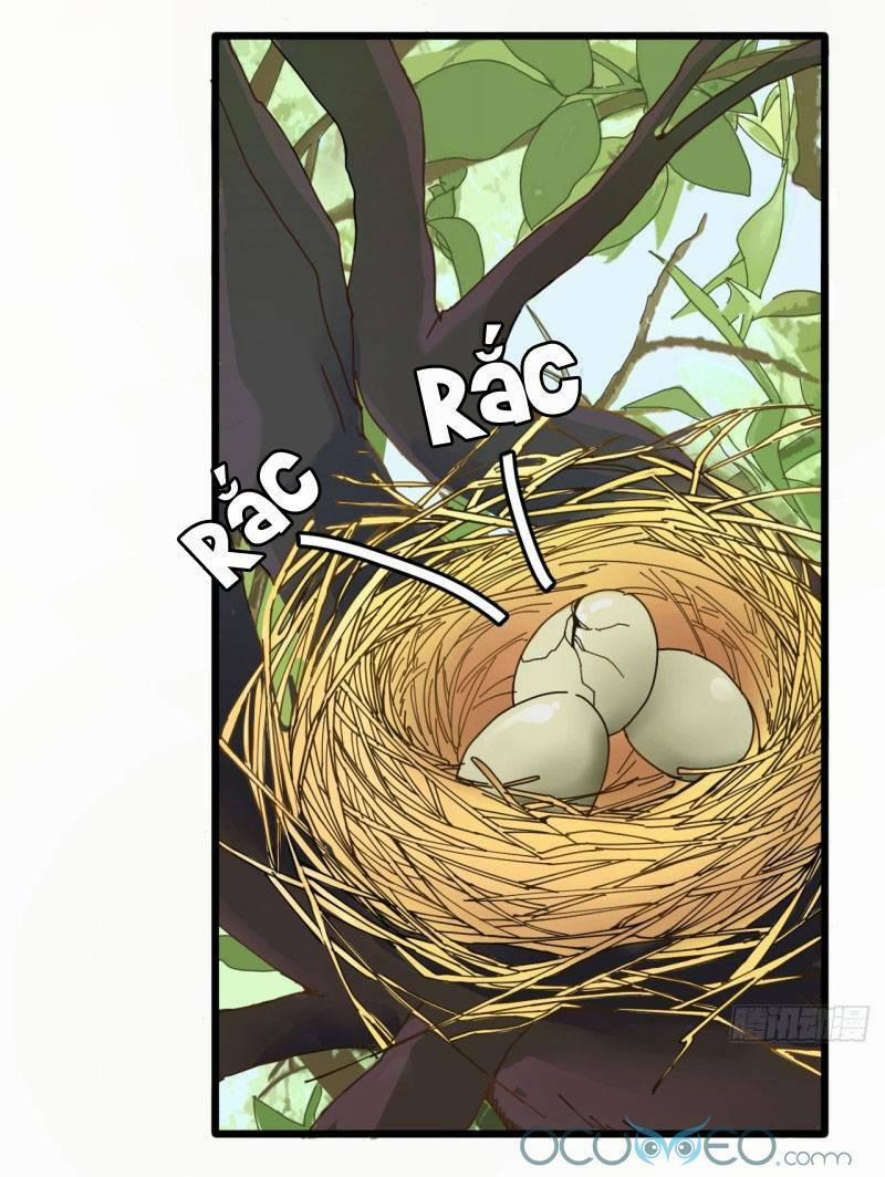 Khi Đóa Hoa Sẫm Màu Nở Rộ 3 trang 31