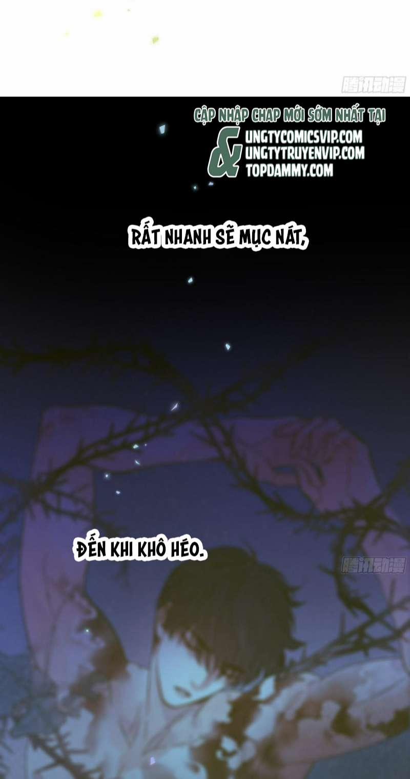 Khi Người Ngủ Say 28 trang 18