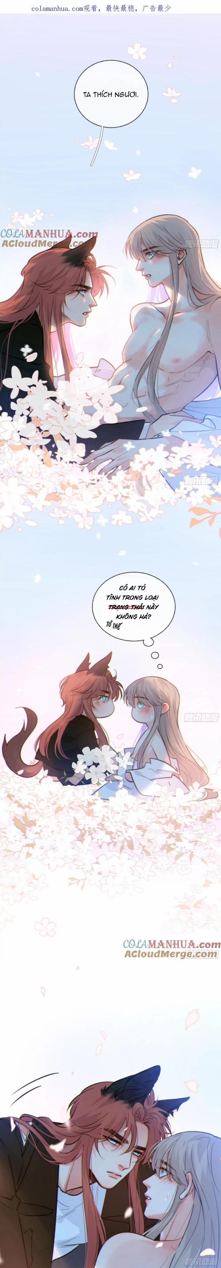 Khi Người Say Giấc 42 trang 0