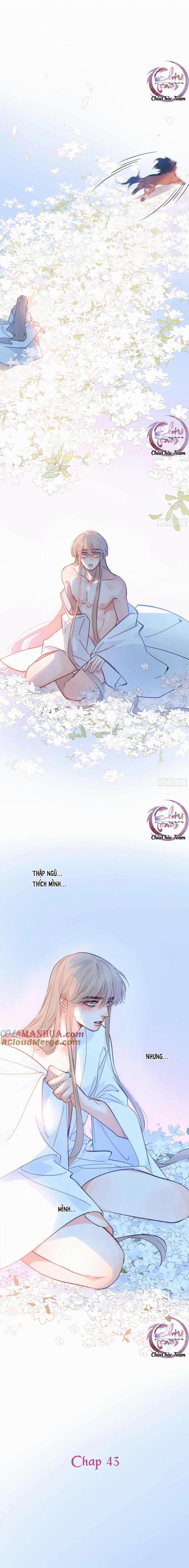 Khi Người Say Giấc 43 trang 1