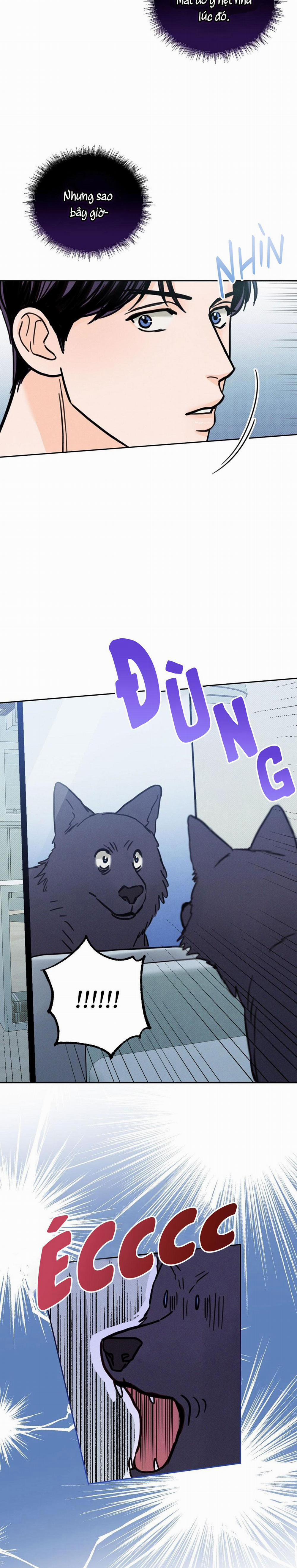 Khi Trăng Tròn Mọc 4 HÓA CHÓ trang 16