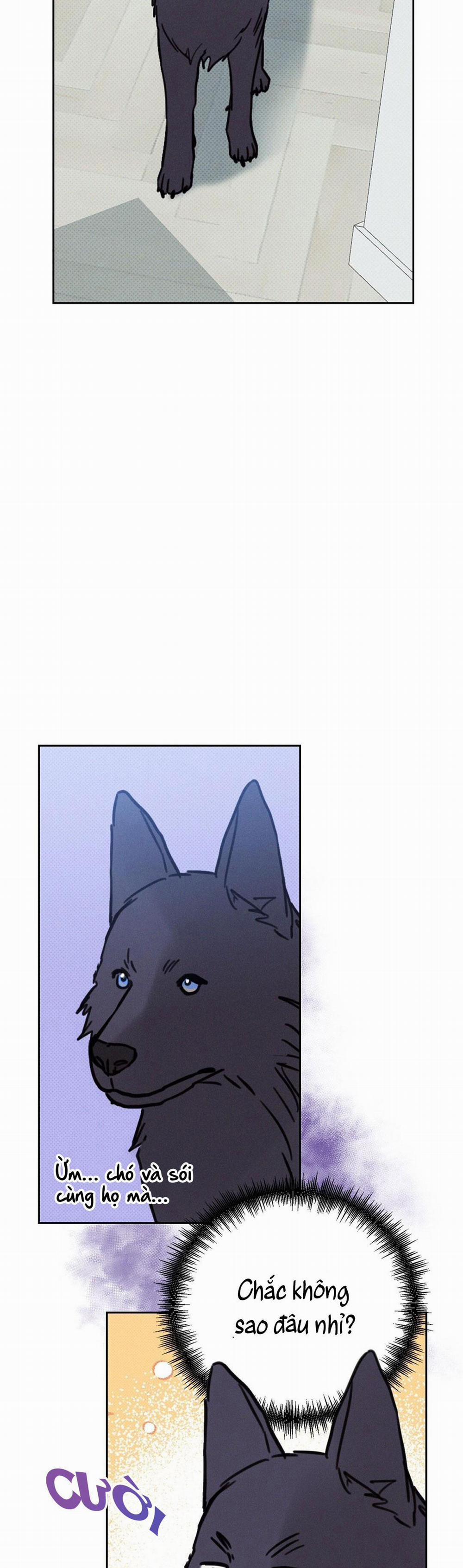 Khi Trăng Tròn Mọc 4 HÓA CHÓ trang 26