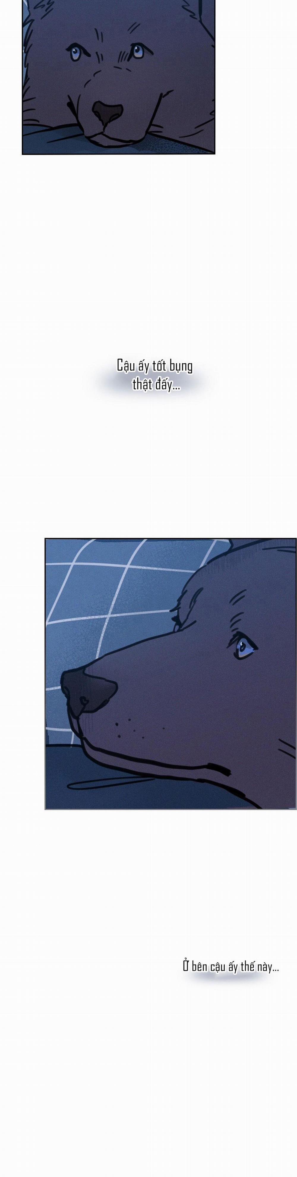 Khi Trăng Tròn Mọc 4 HÓA CHÓ trang 29