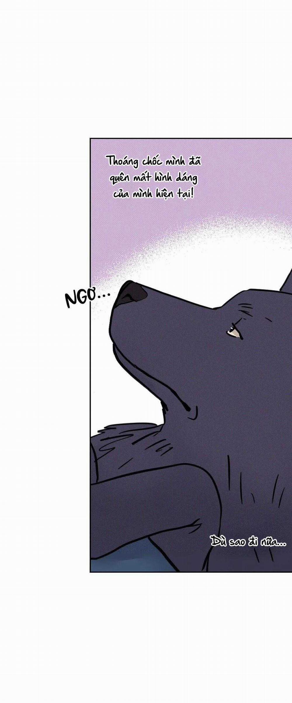 Khi Trăng Tròn Mọc 5 trang 4