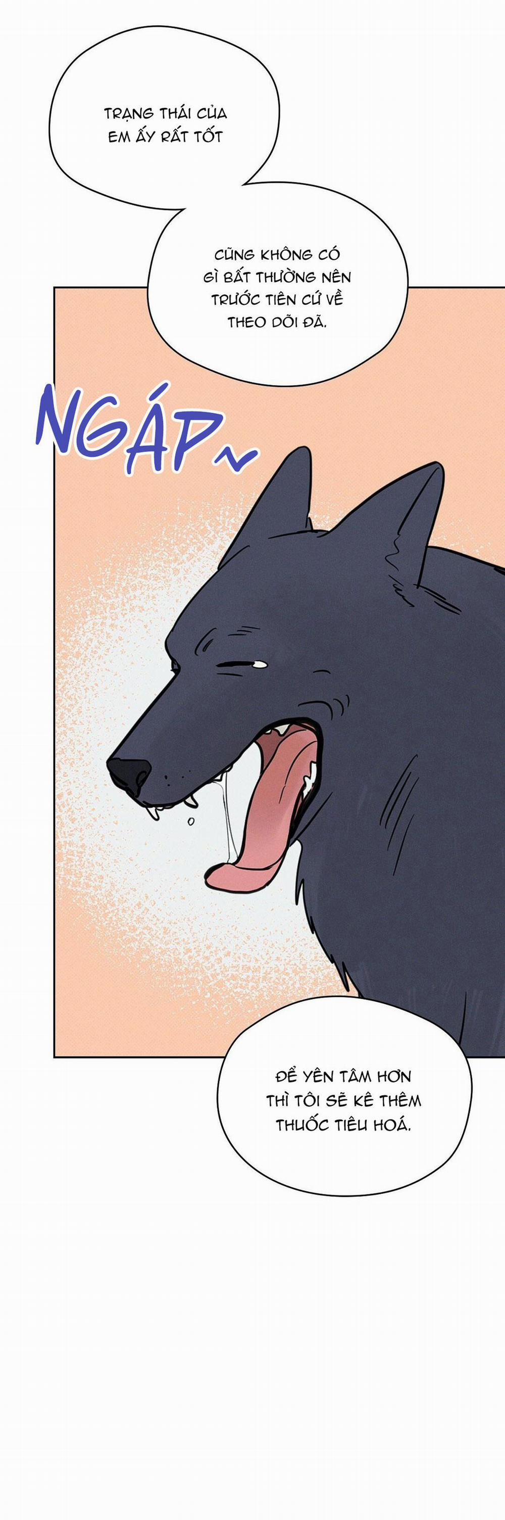 Khi Trăng Tròn Mọc 6 chó xinh trang 39