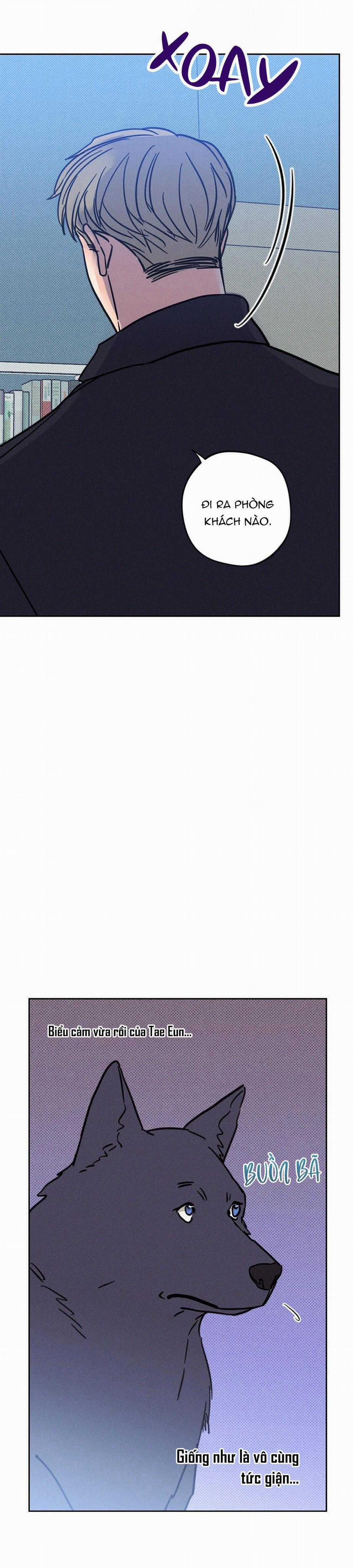 Khi Trăng Tròn Mọc 6 trang 12