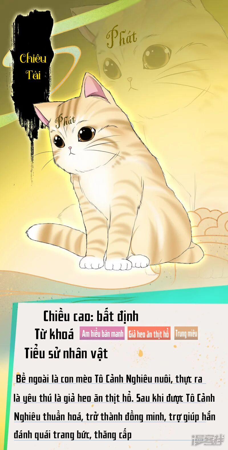 Khoa Kỹ Đại Tiên Tông 0 trang 13