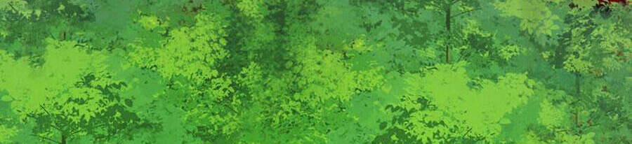 Khoa Kỹ Đại Tiên Tông 68 trang 35