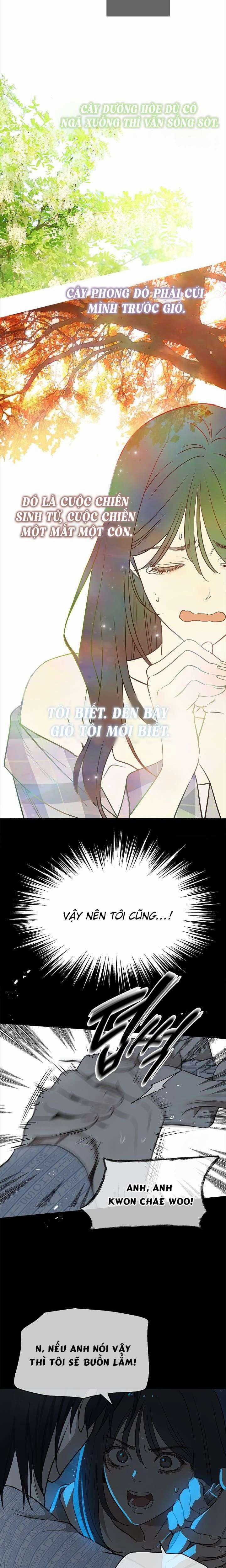 [Không Che] [18+] Đóa Hoa Là Mồi Nhử 4 trang 1