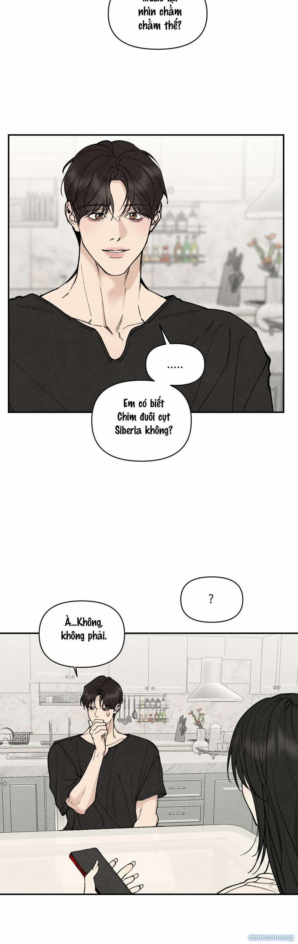 〖 Không Che 〗-〖18+〗- Toy Daddy 13 trang 2