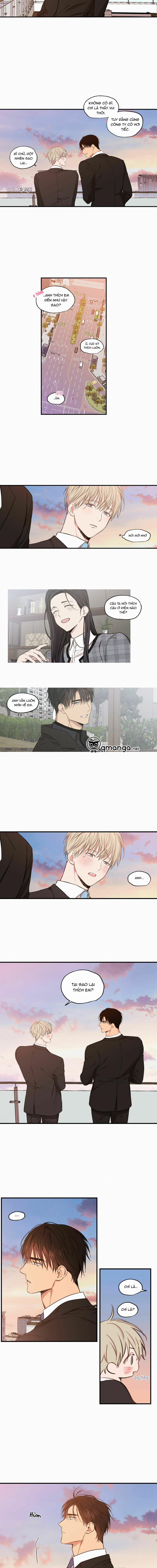 Không Chốn Yêu Đương 0 Kết thúc trang 6