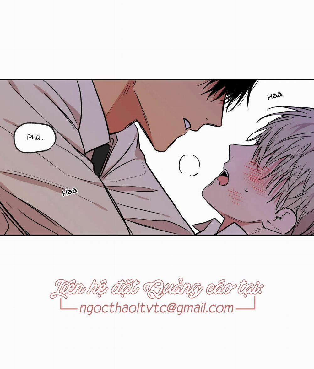 Không Chốn Yêu Đương 57 trang 52