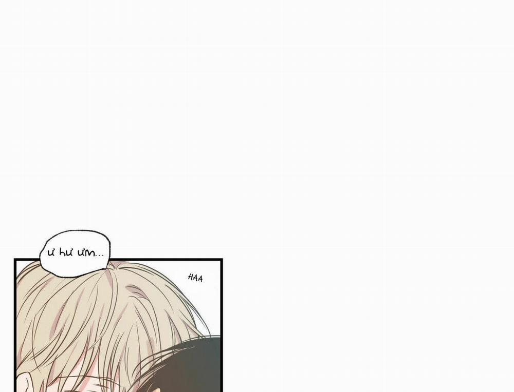 Không Chốn Yêu Đương 62 trang 55