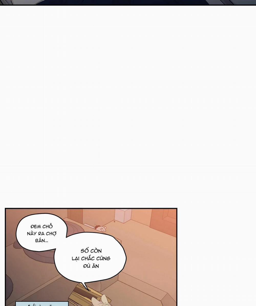 Không Chốn Yêu Đương 64.4 trang 41