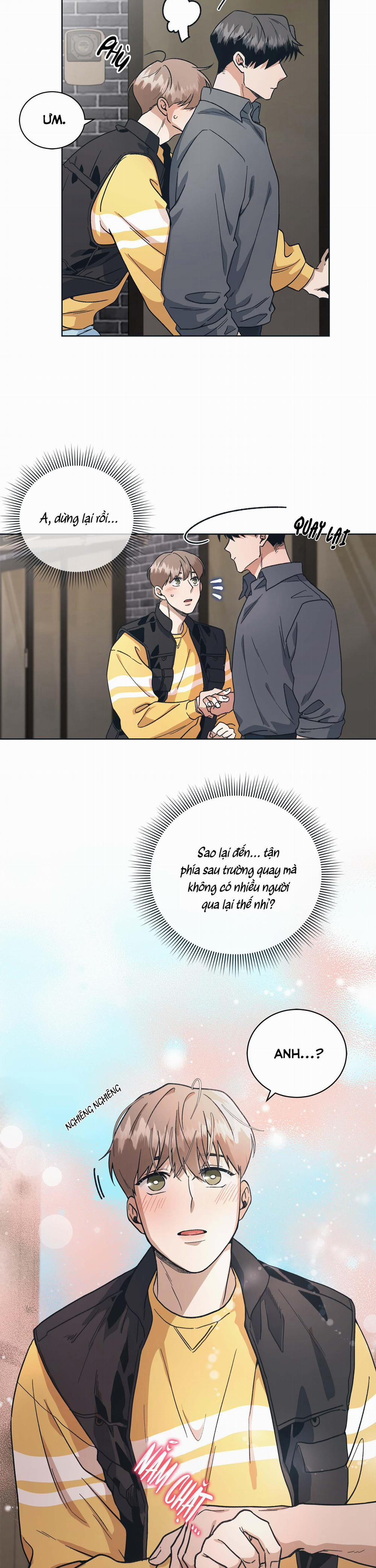 KHÔNG CÓ DIỄN XUẤT VĨNH CỬU 4 trang 5